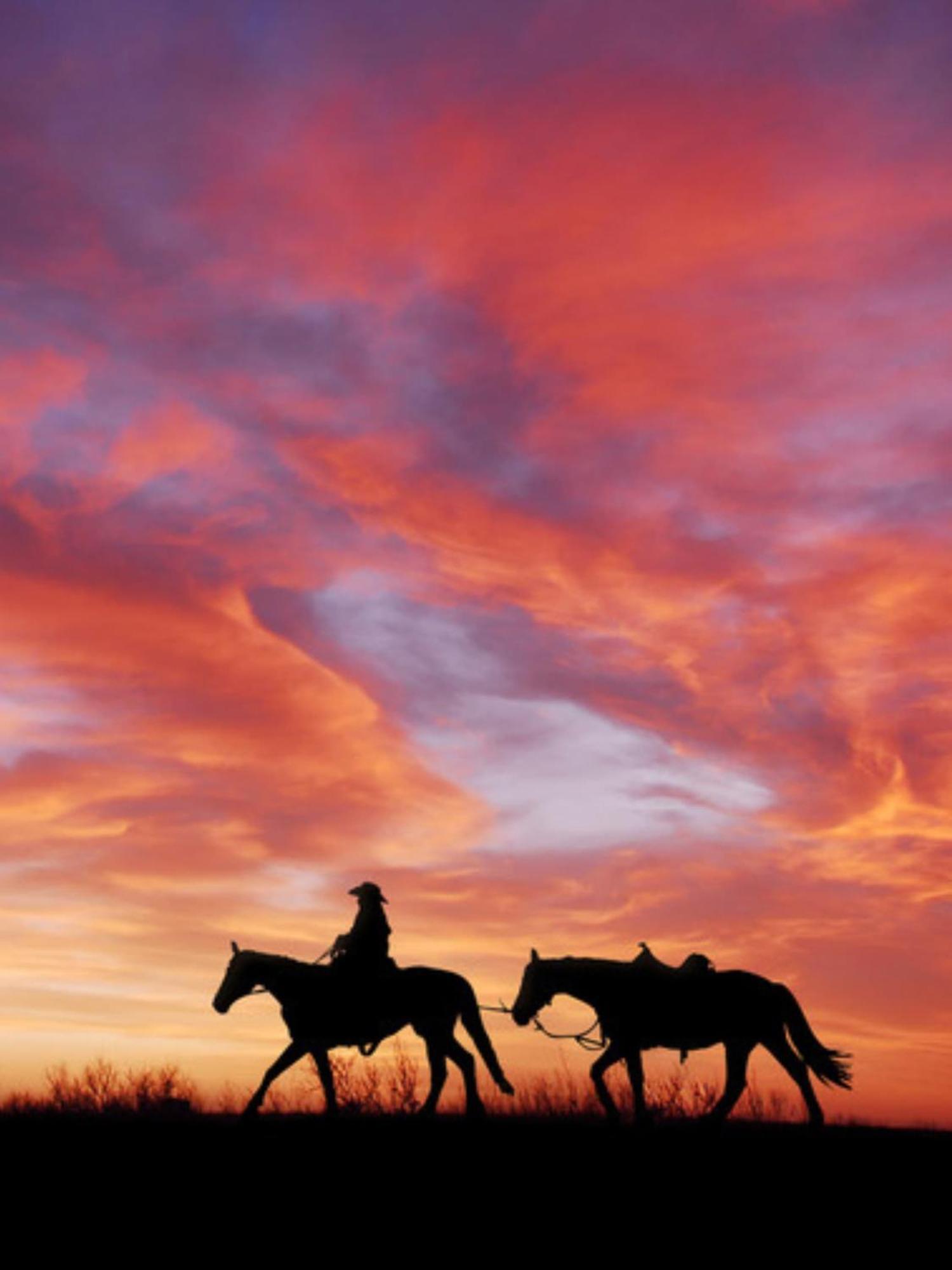 Charming Cowboy Bunkhouse In