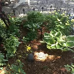 Entire Cozy Home Pet Friendly