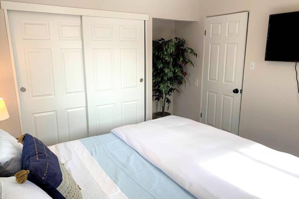 Apartment 2 King Beds In Cool Upper Unit In