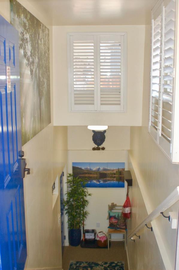 Blue Bear Den 3br 2ba &