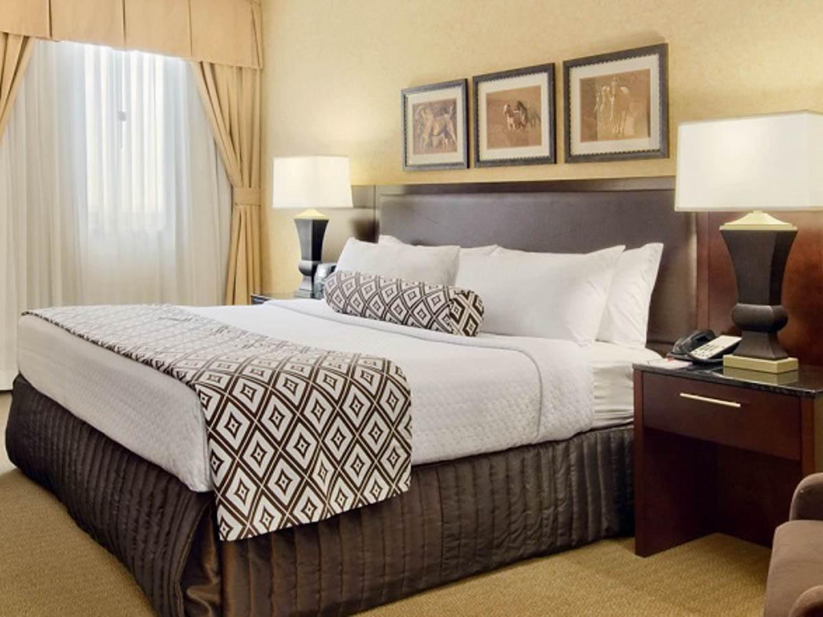 Hotel Crowne Plaza International Airport, An Ihg Denver