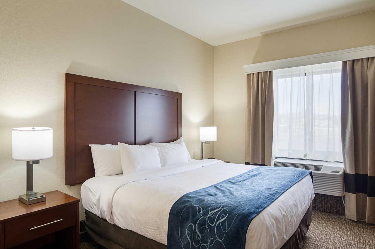 Comfort Near Downtown Hotel