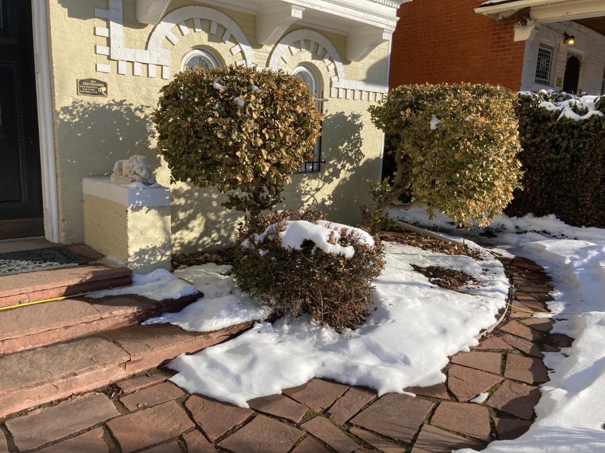 Apartment Pineapple House, Cozy Garden Apartment, Center! Marble-tiled Bathroom! Free Parking!