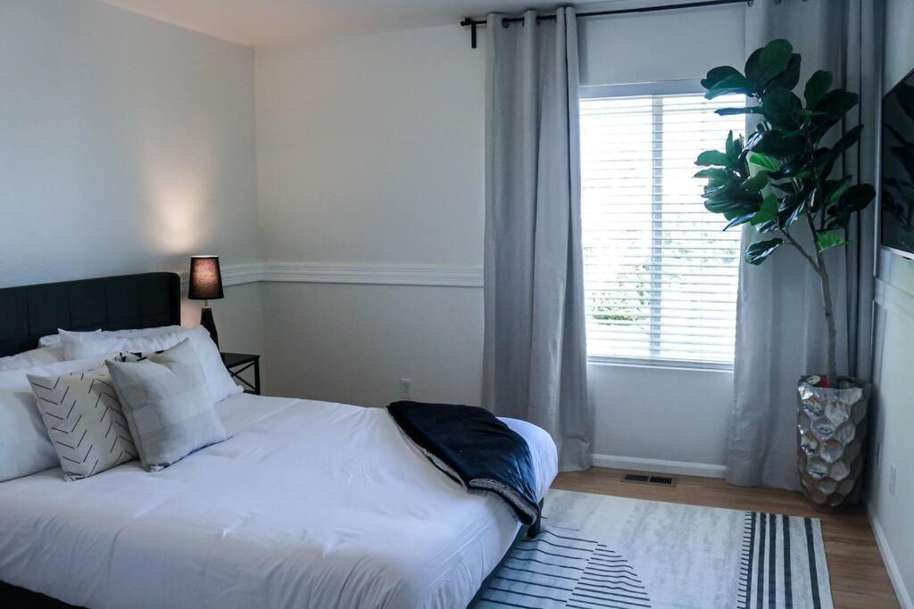 Change Your Altitude In 3br Near Airport W/gameroom *