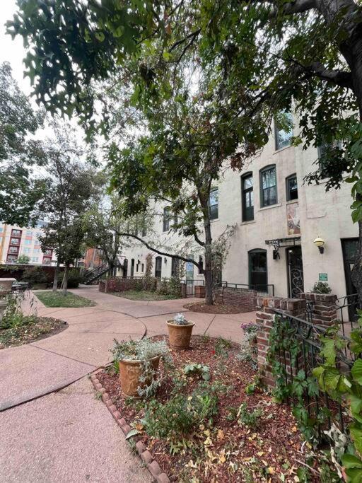Apartment Affordable & Chic Rino/lodo/dtown Loft- Walkable Denver