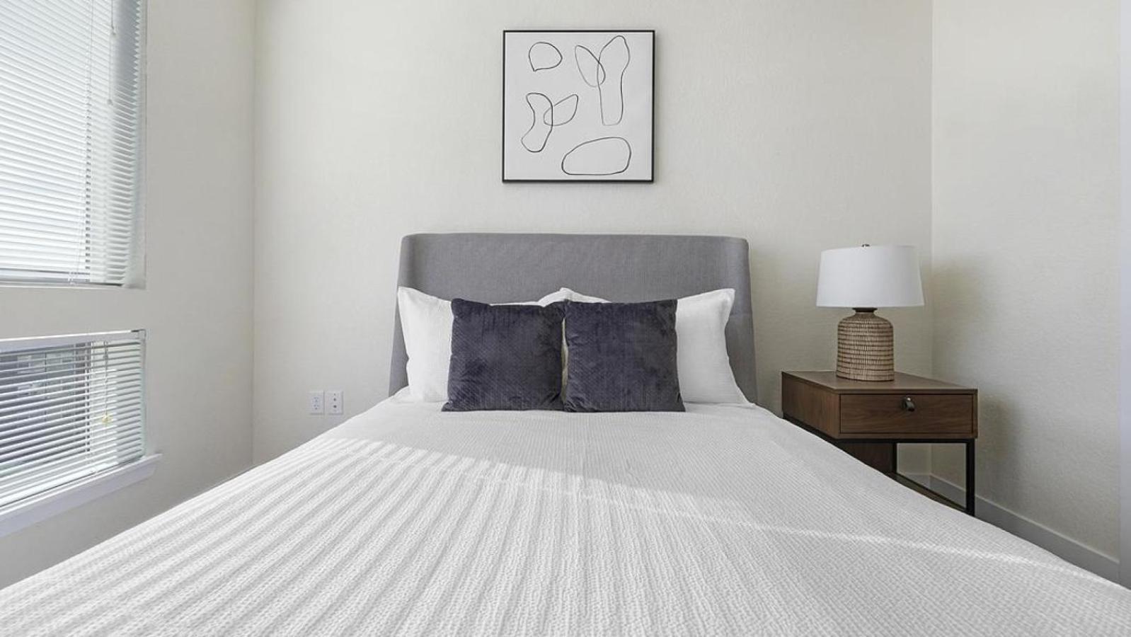 Landing Modern With Amazing Amenities Denver