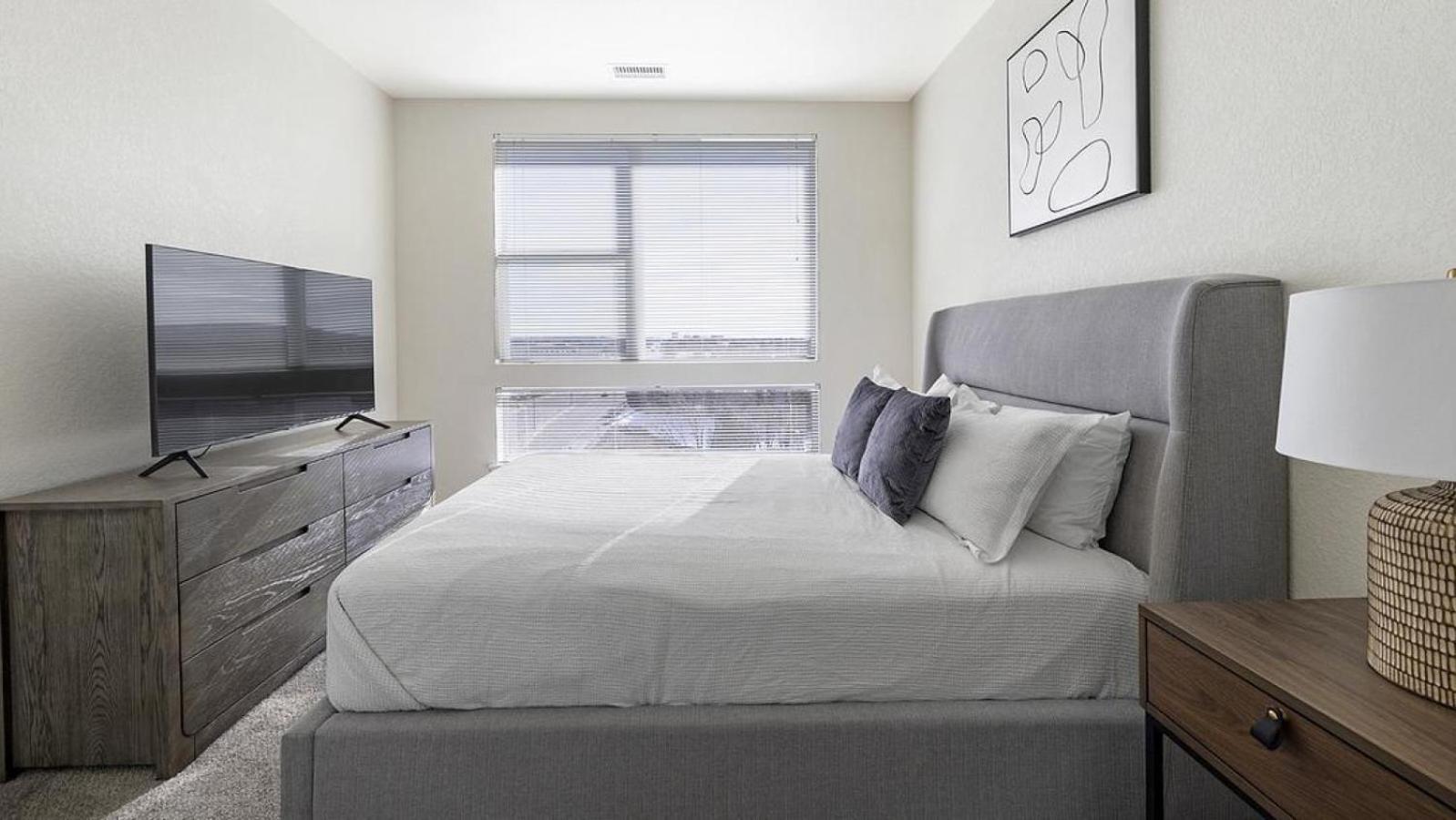 Landing Modern With Amazing Amenities Apartment Denver