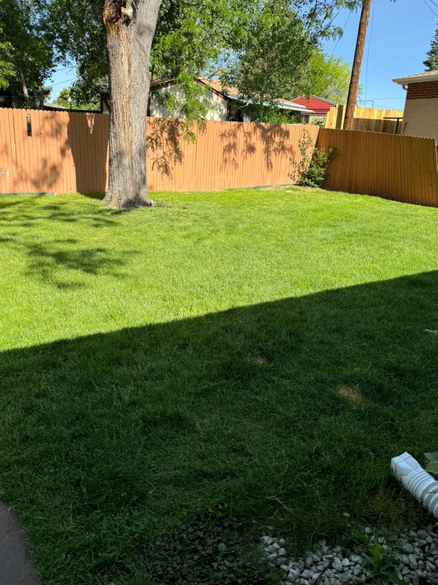 Shared House Denver- Queen Sleeper Sofa-24hr Self Check In One Person * Denver