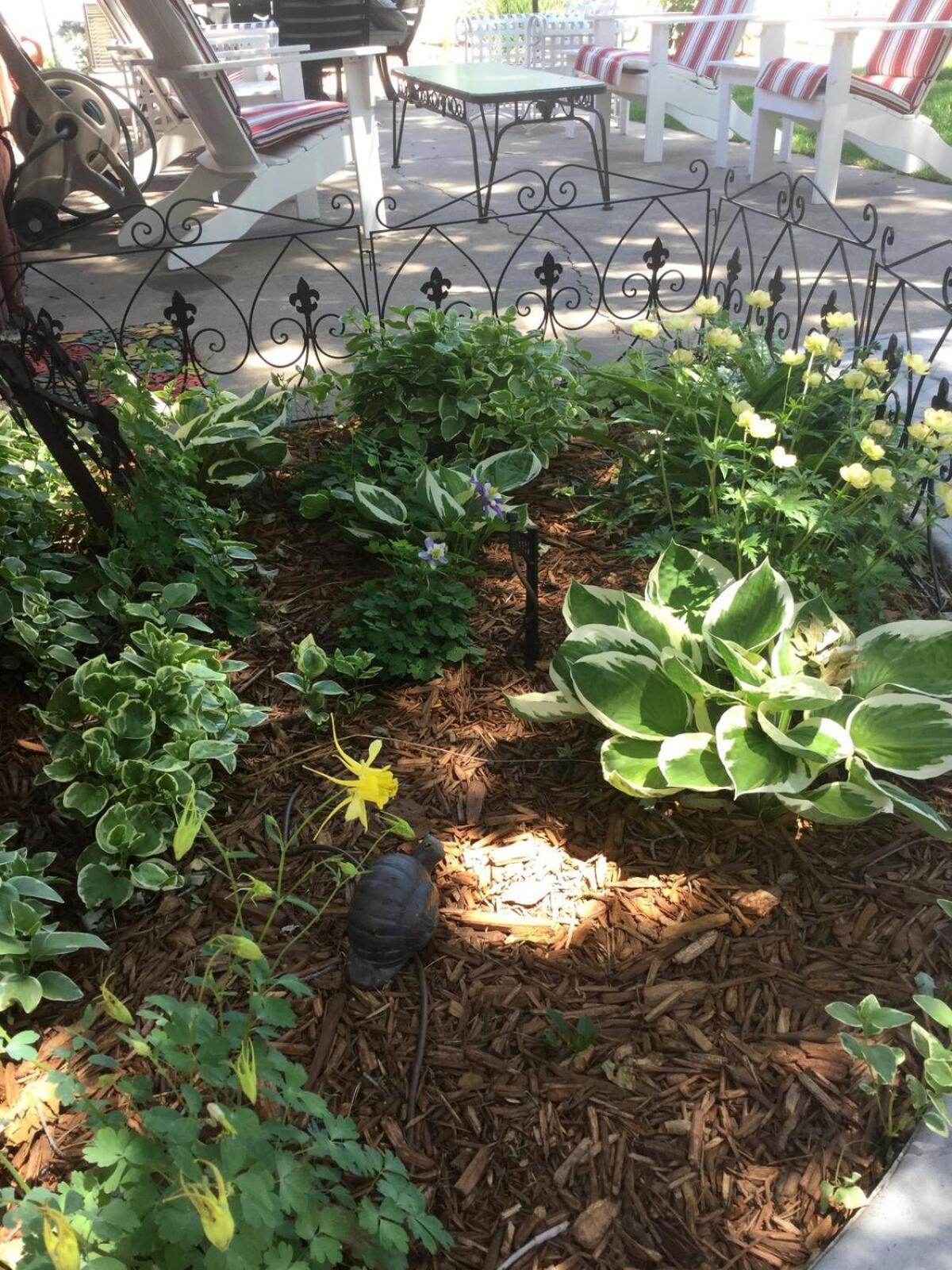 Entire Cozy Home Pet Friendly Denver
