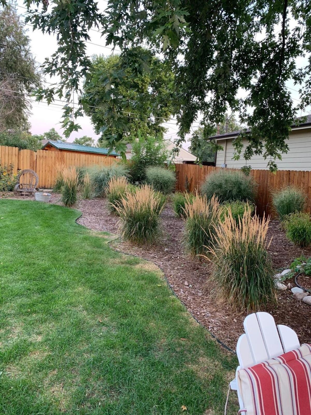 Entire Cozy Home Pet Friendly Denver