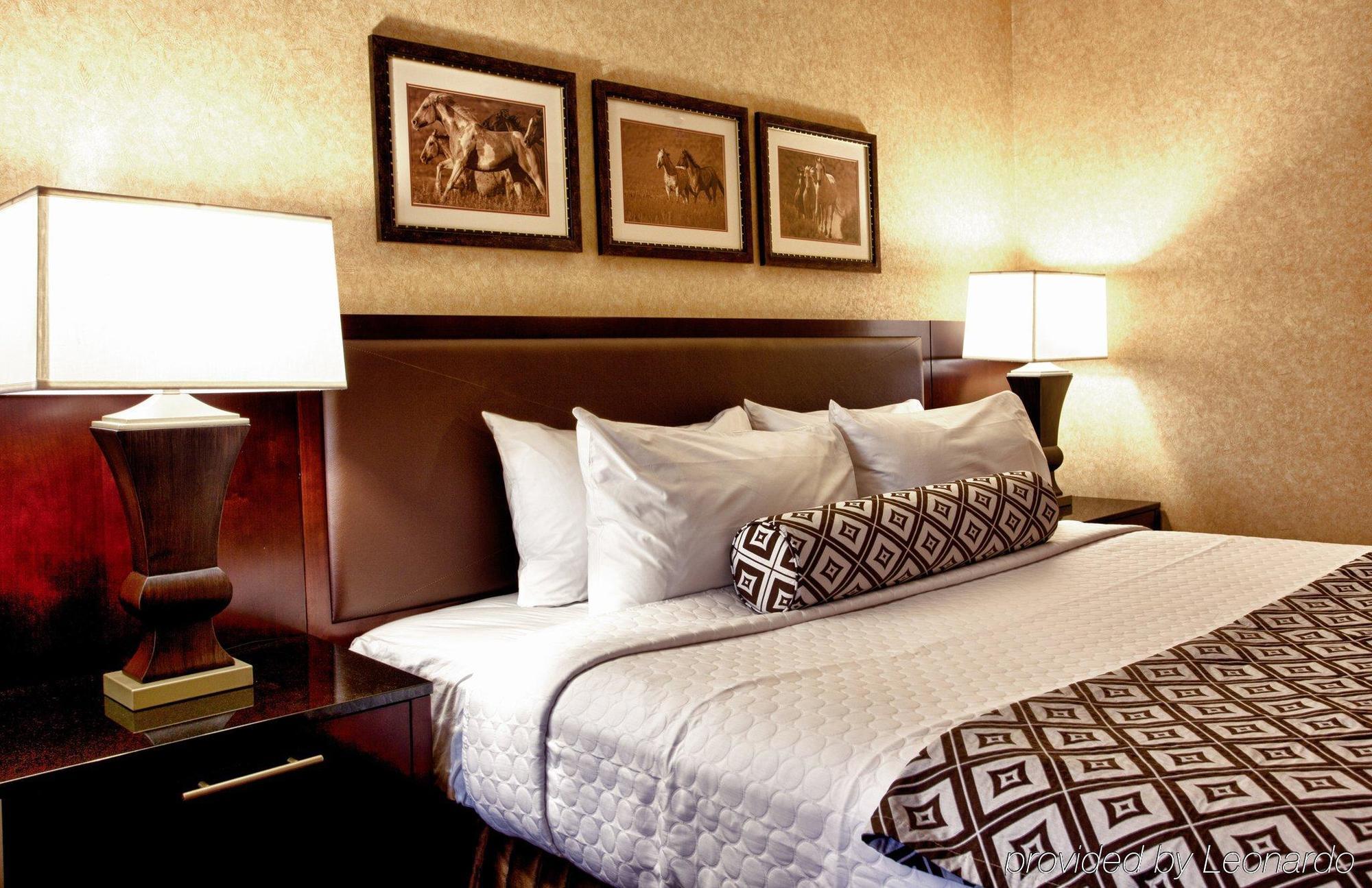 Hotel Crowne Plaza International Airport, An Ihg