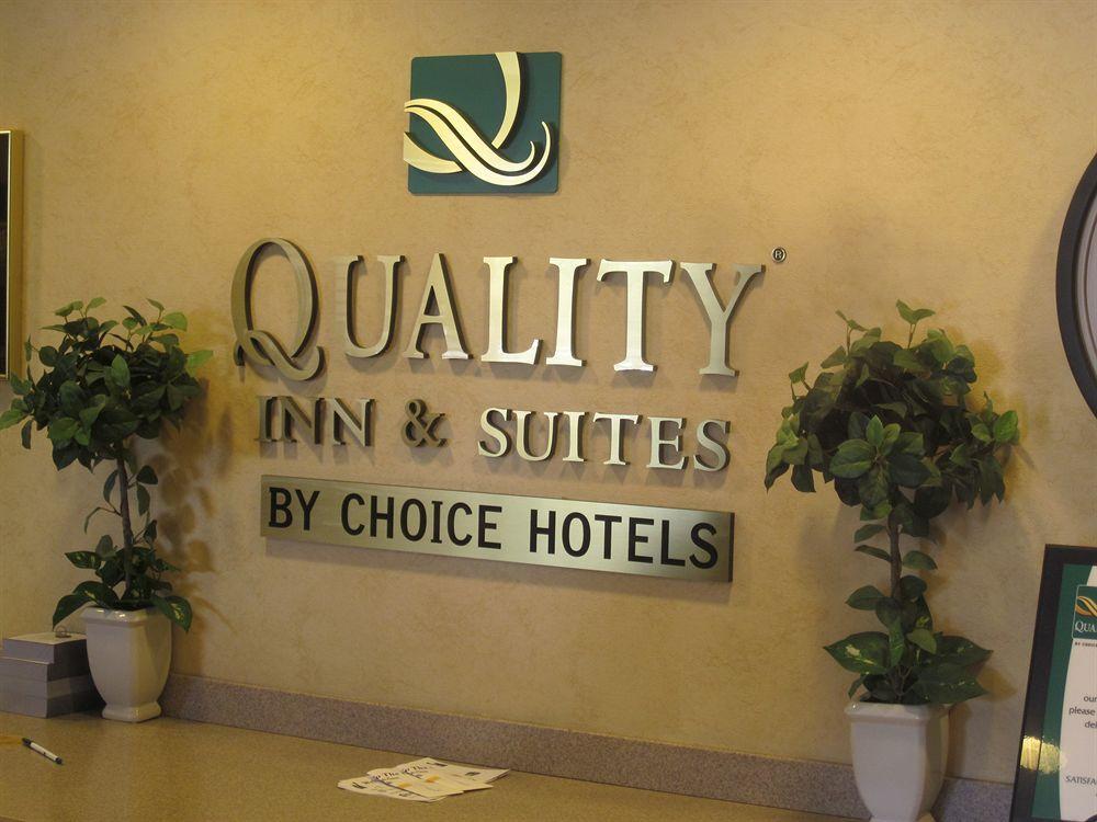 Quality & International Airport Hotel 3*