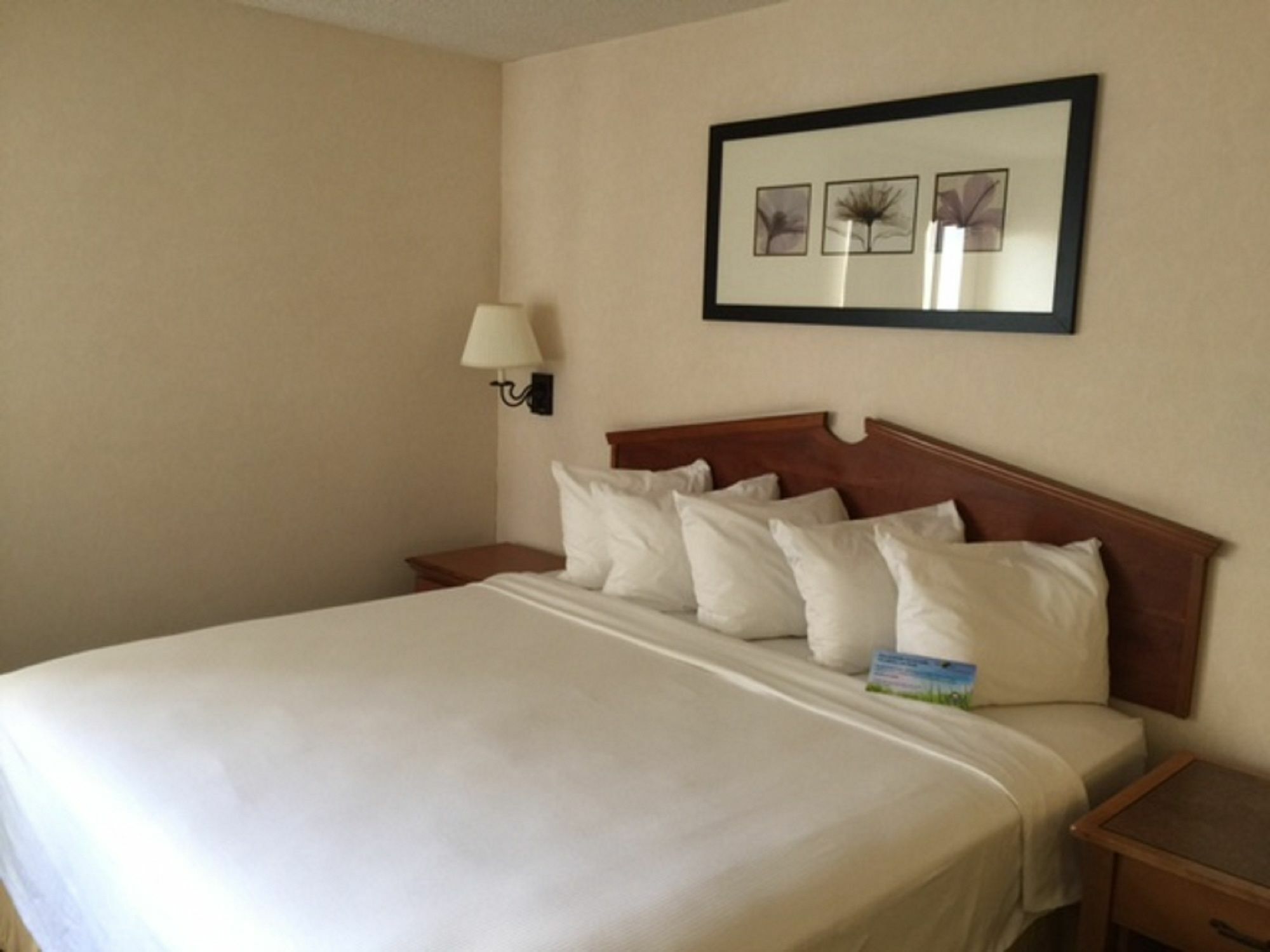 Days & By Wyndham International Airport Hotel 2*