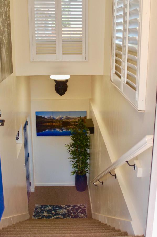 Apartment Blue Bear Den 3br 2ba & *
