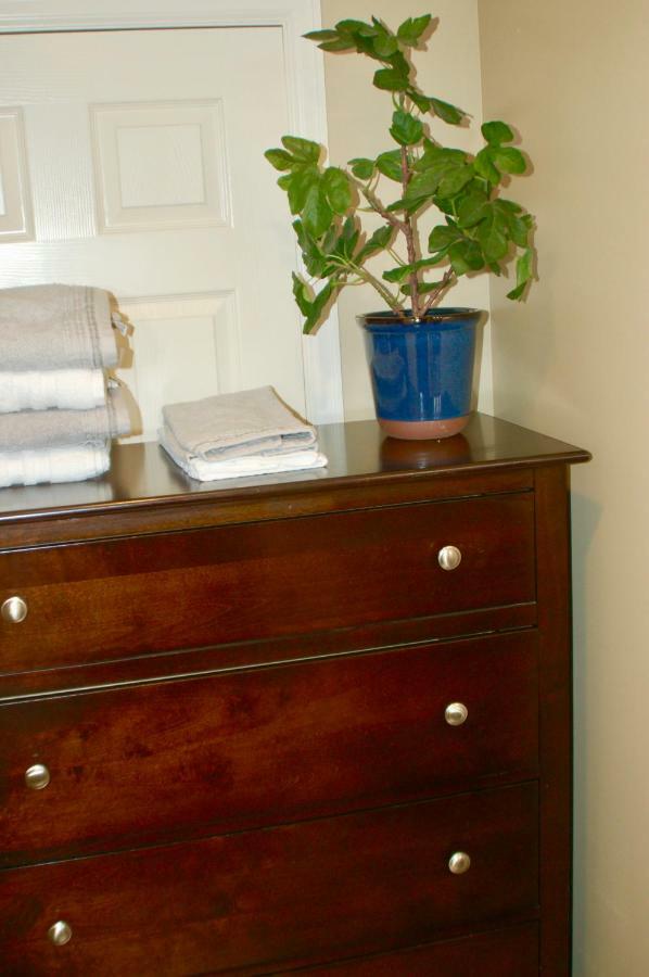 Apartment Blue Bear Den 3br 2ba &