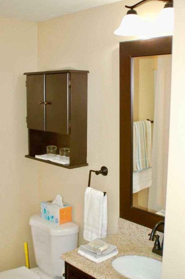 Blue Bear Den 3br 2ba & Apartment *