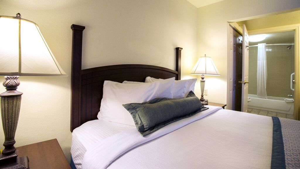 Staybridge International Airport By Ihg Hotel