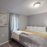 Cheerful Lower Unit With 2 Kings & Highspeed Wifi