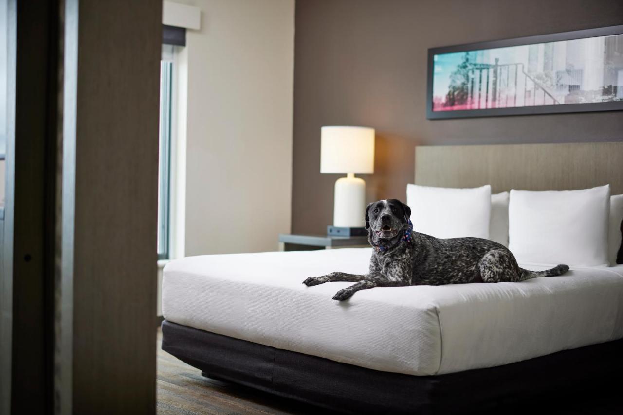 Hyatt House Denver/downtown Hotel Denver