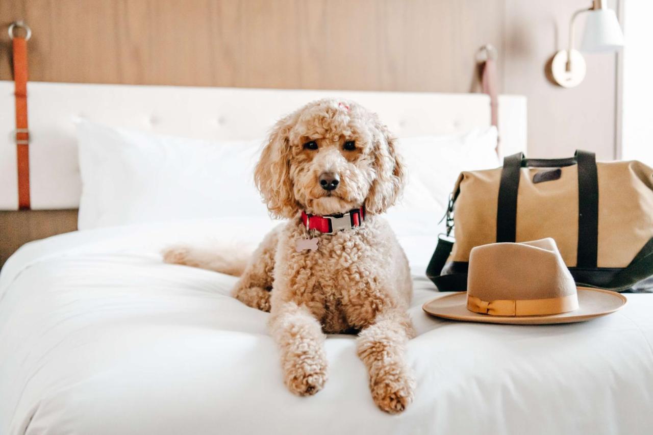 Hyatt Centric Downtown 4* Denver