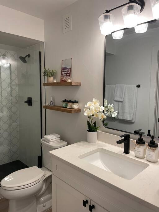 Apartment Private, Cozy, By Mile High Stadium And Downtown Denver! *