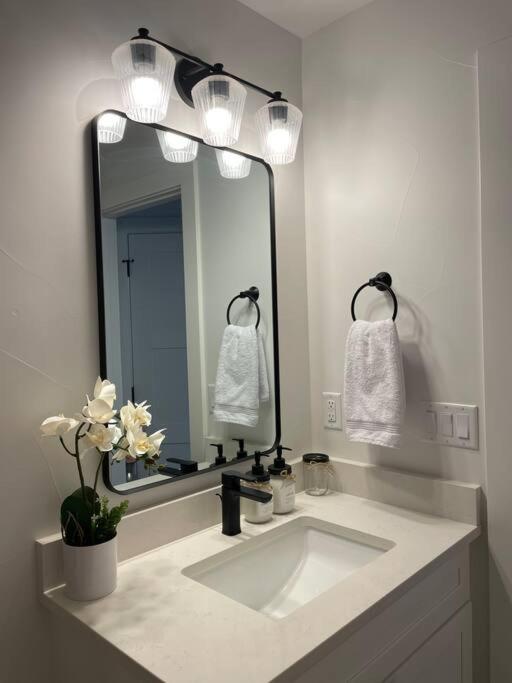 Apartment Private, Cozy, By Mile High Stadium And Downtown Denver! *