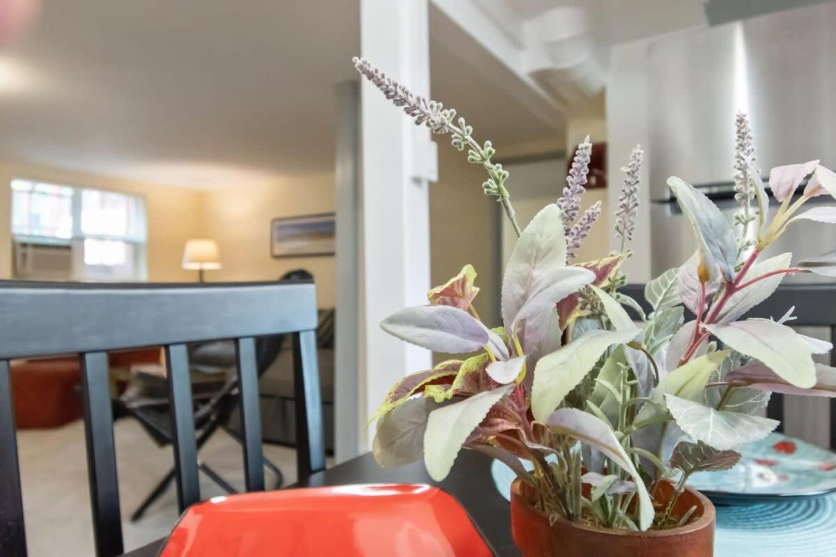 Cozy & Spacious Steps From Regis Apartment *